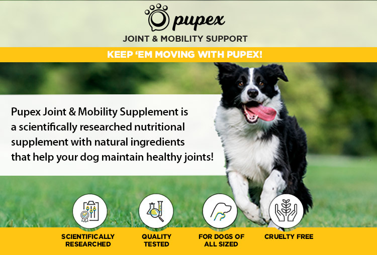 Pupex Joint & Mobility Support